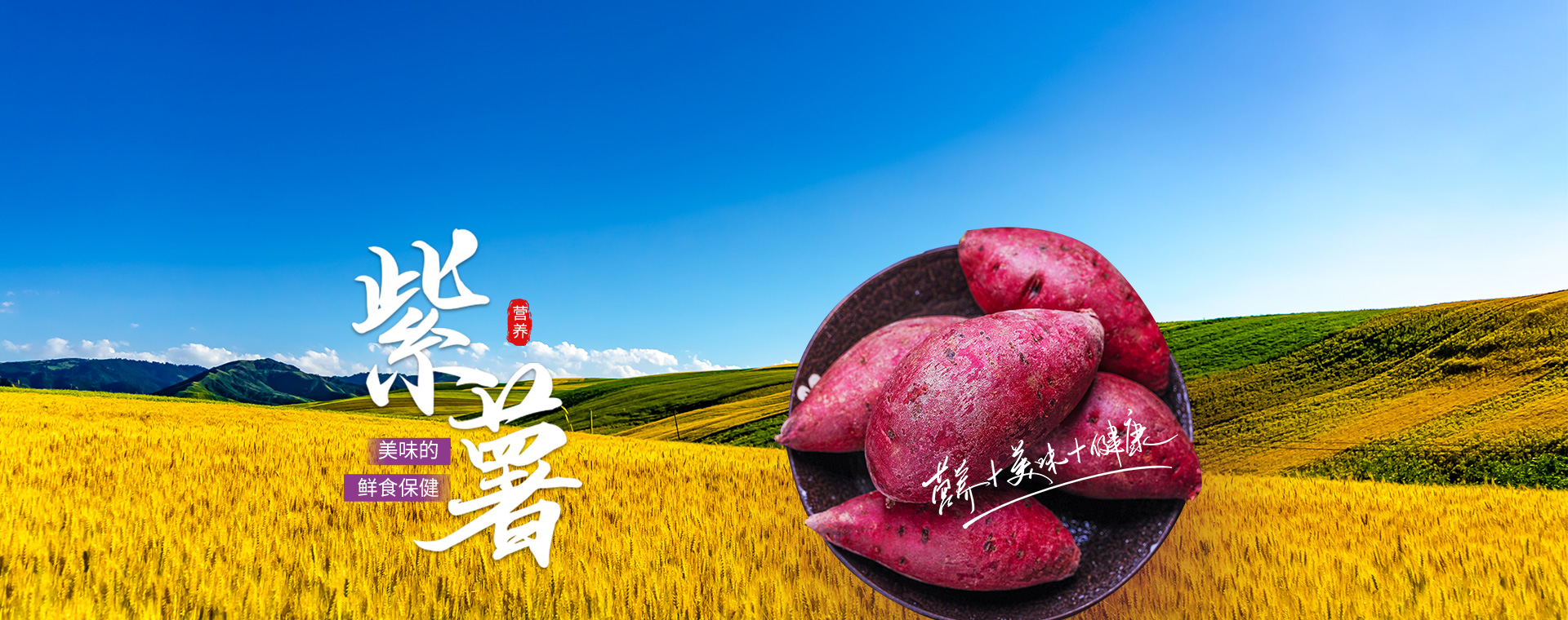 魚臺齊鑫化工有限公司<br>